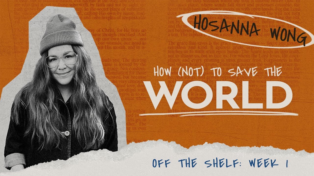 How (Not) to Save the World